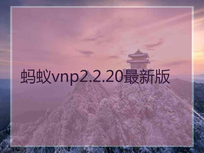 蚂蚁vnp2.2.20最新版