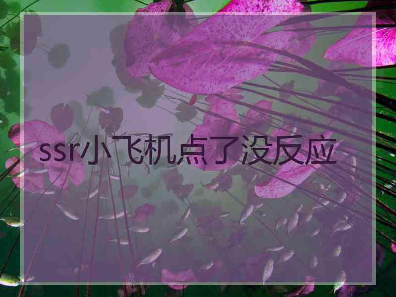 ssr小飞机点了没反应