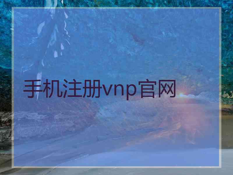 手机注册vnp官网
