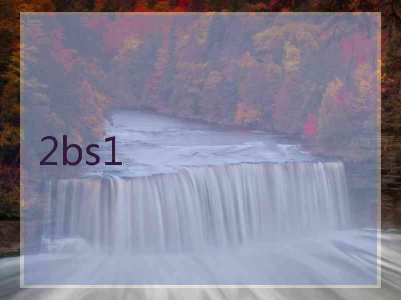 2bs1