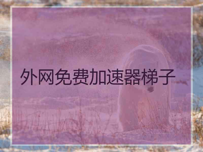 外网免费加速器梯子