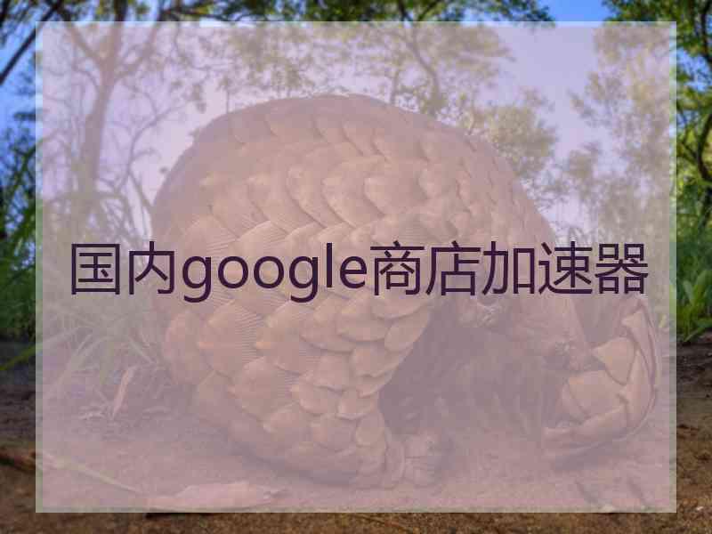 国内google商店加速器