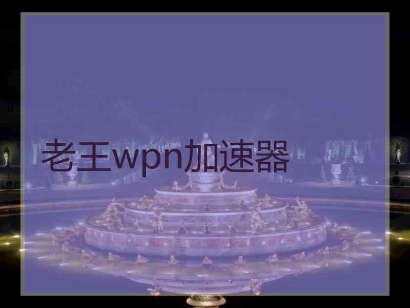 老王wpn加速器