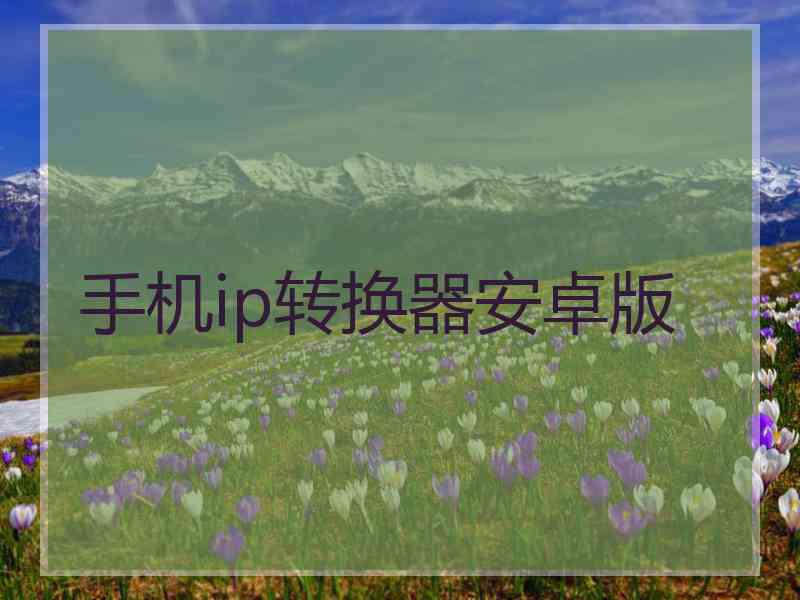 手机ip转换器安卓版