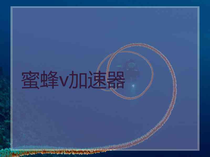 蜜蜂v加速器