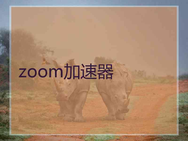 zoom加速器