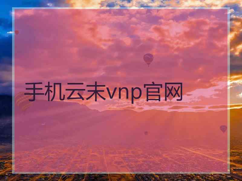 手机云末vnp官网