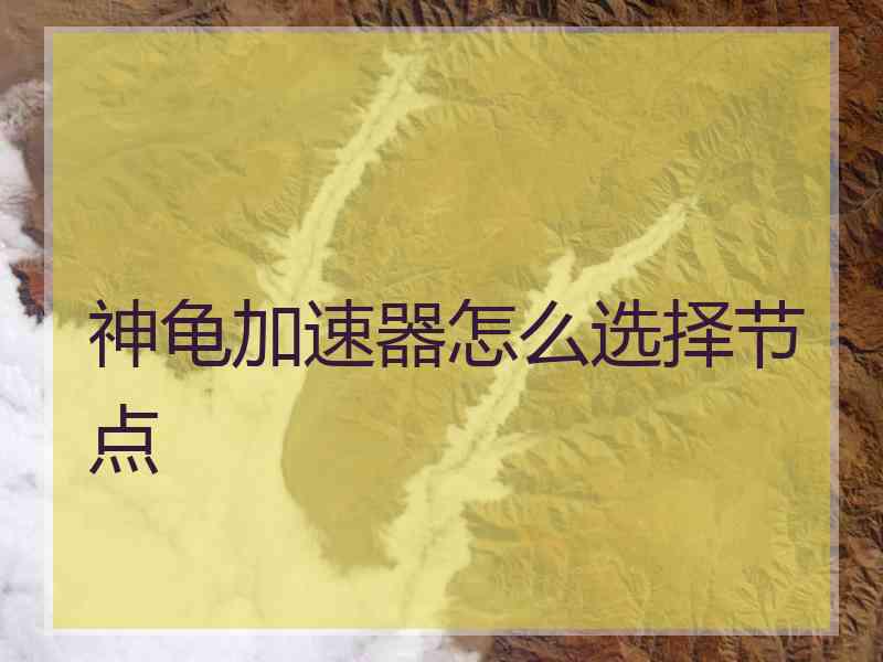 神龟加速器怎么选择节点