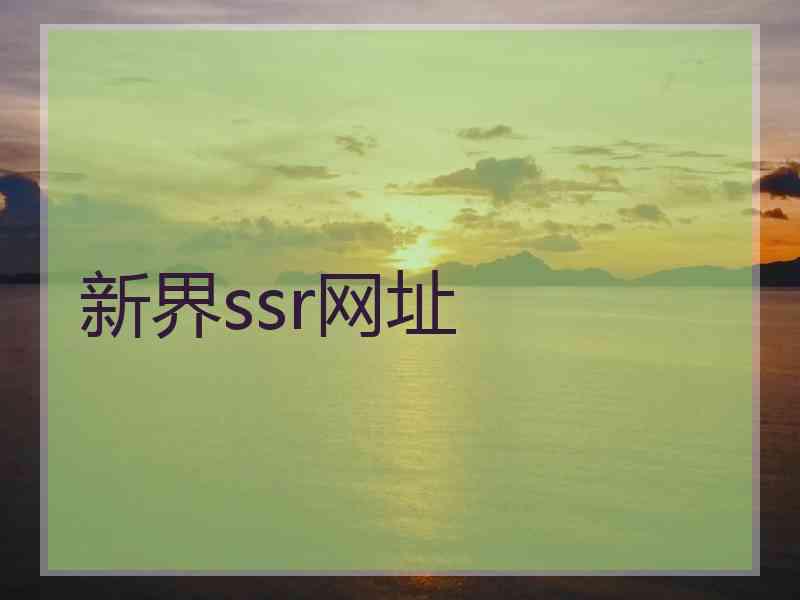 新界ssr网址