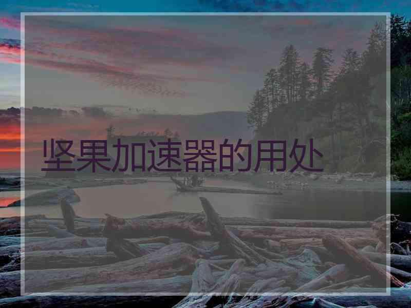 坚果加速器的用处