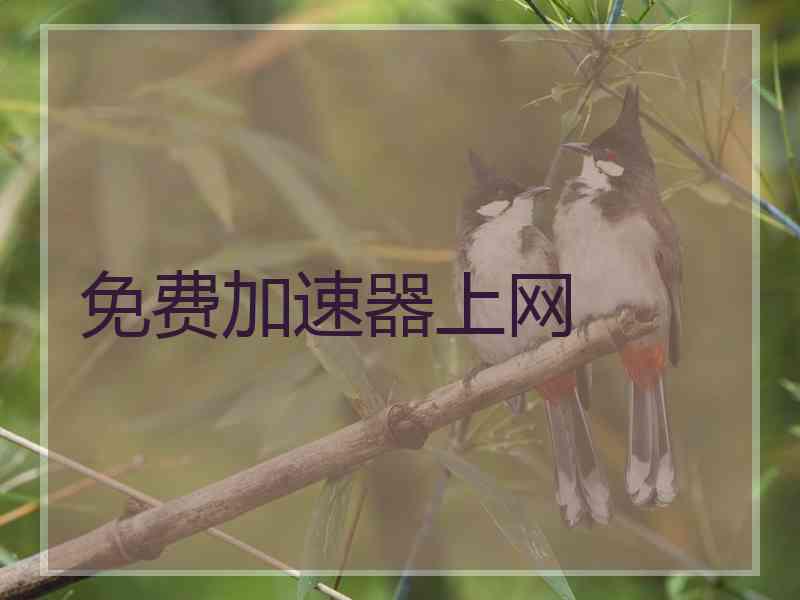 免费加速器上网