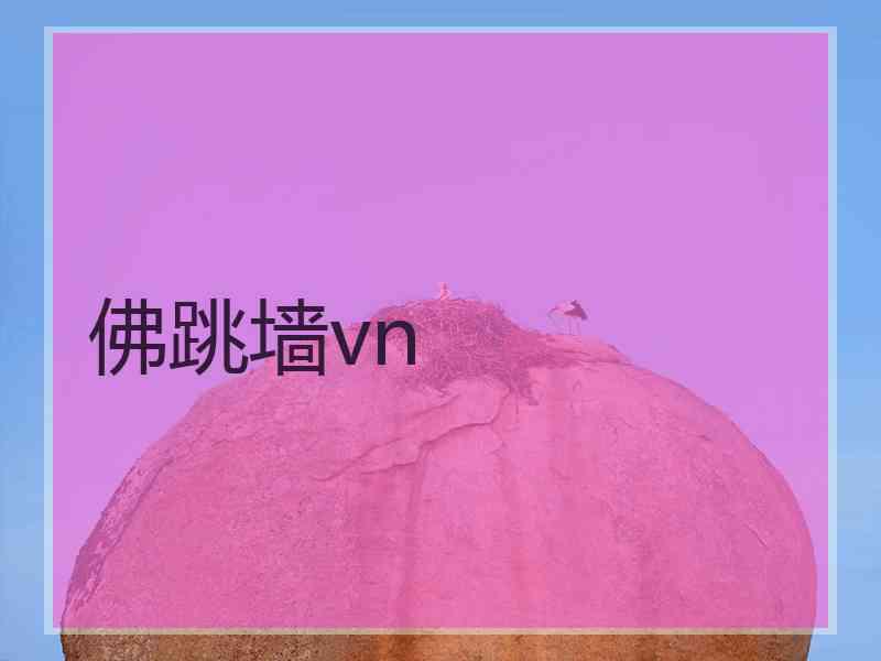 佛跳墙vn