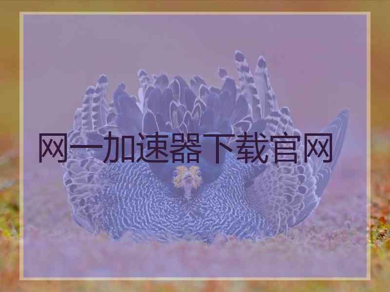 网一加速器下载官网