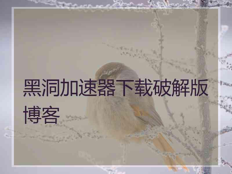 黑洞加速器下载破解版博客