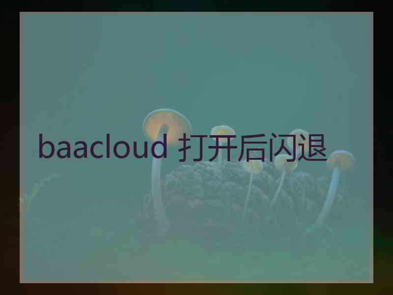 baacloud 打开后闪退