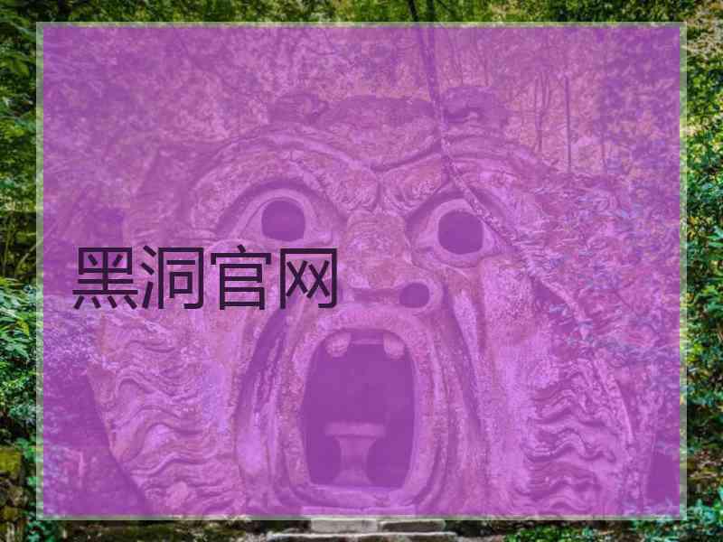 黑洞官网