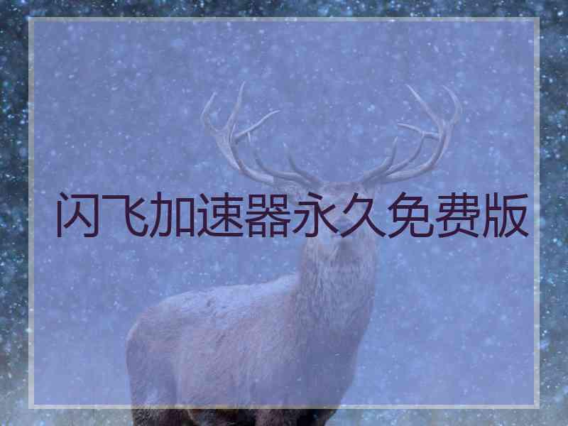 闪飞加速器永久免费版