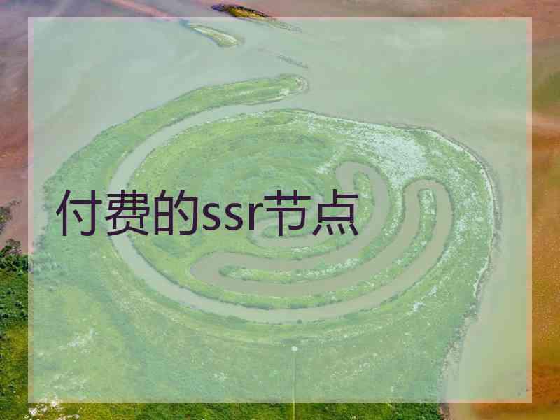 付费的ssr节点