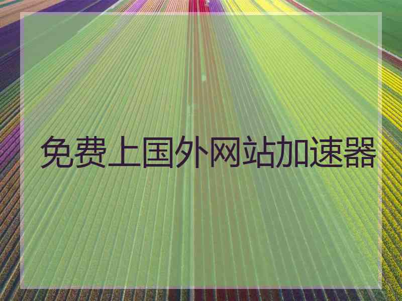 免费上国外网站加速器