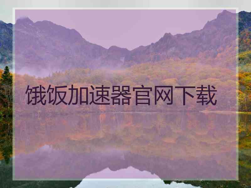 饿饭加速器官网下载