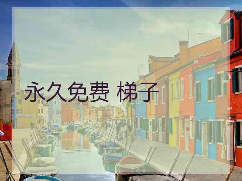 永久免费 梯子