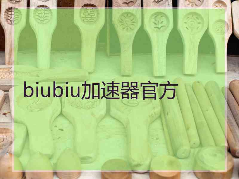 biubiu加速器官方