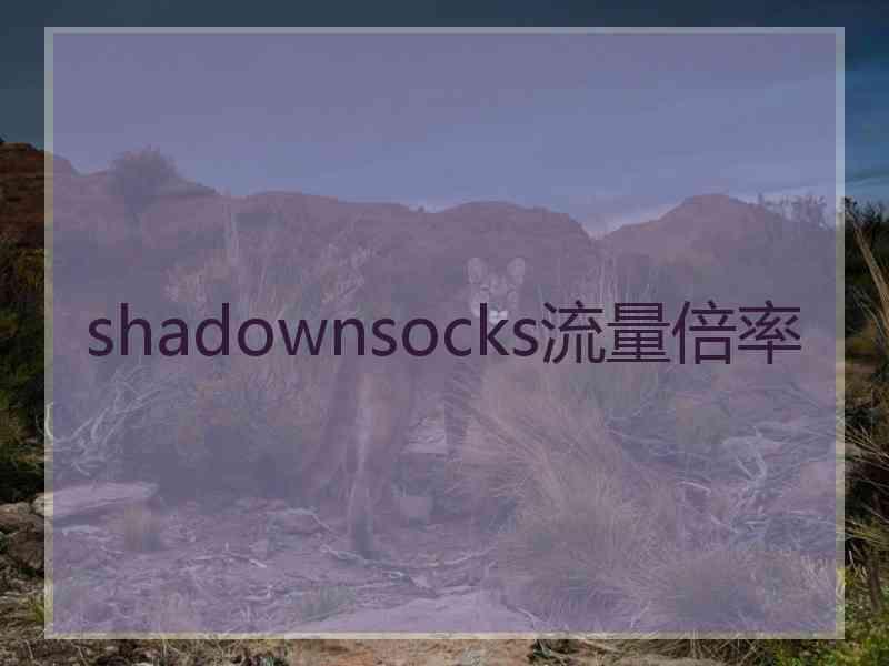 shadownsocks流量倍率