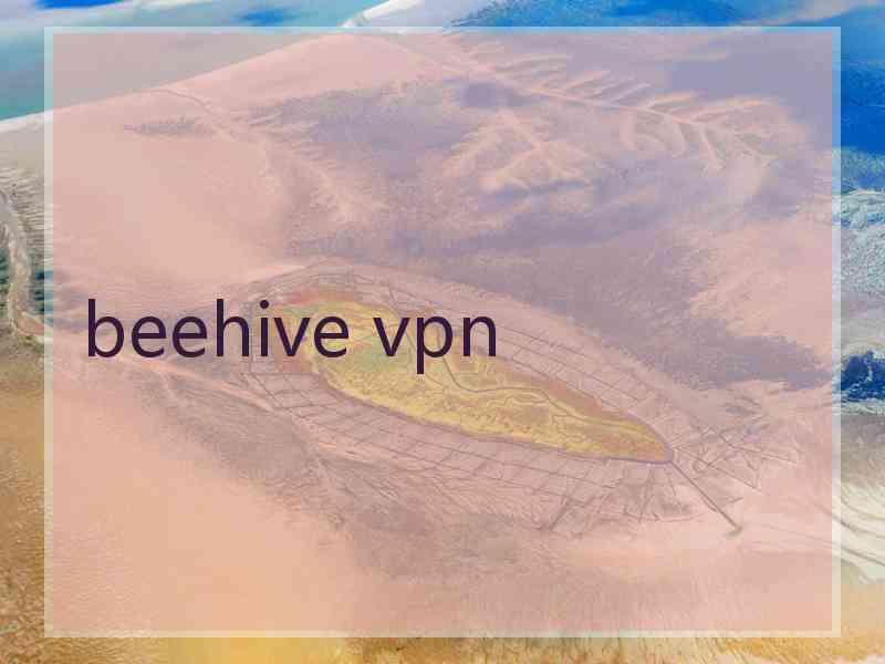 beehive vpn