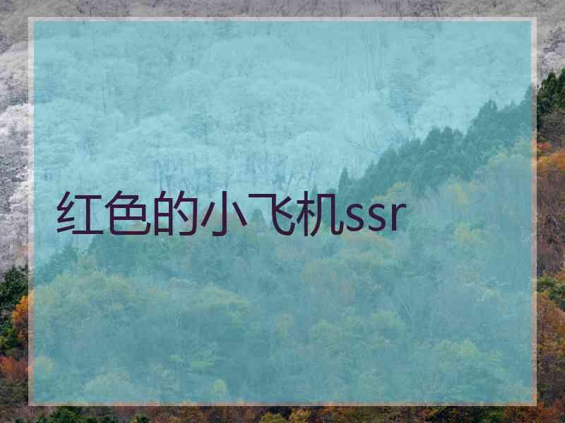 红色的小飞机ssr