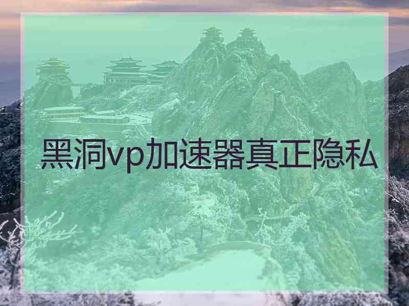 黑洞vp加速器真正隐私