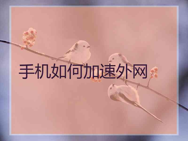 手机如何加速外网