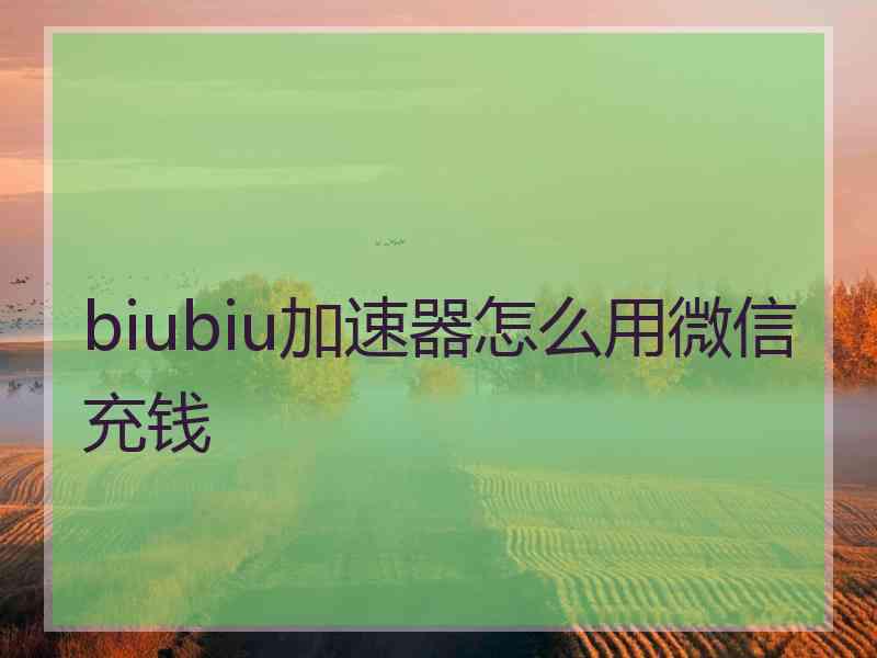 biubiu加速器怎么用微信充钱