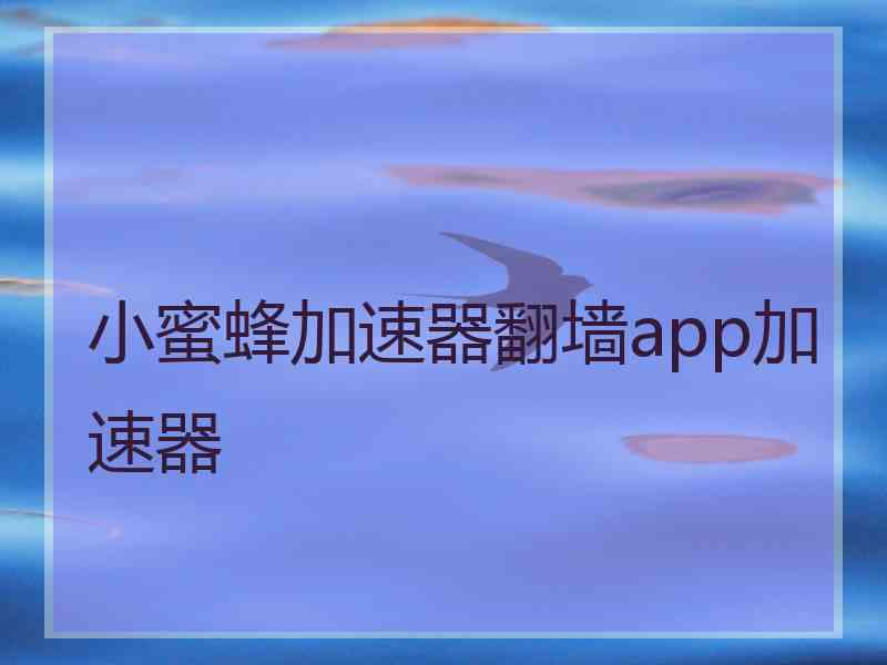 小蜜蜂加速器翻墙app加速器