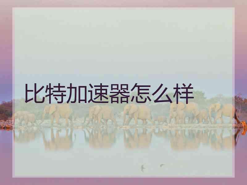 比特加速器怎么样