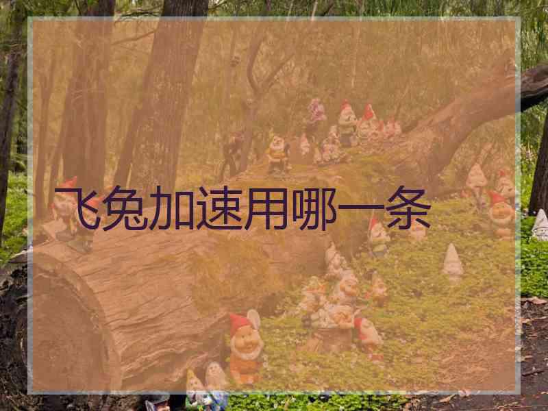 飞兔加速用哪一条