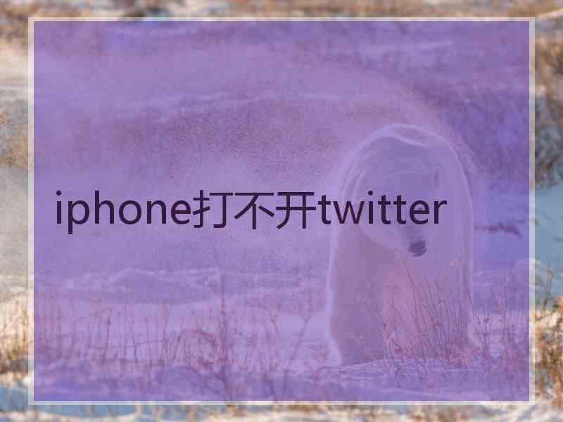 iphone打不开twitter