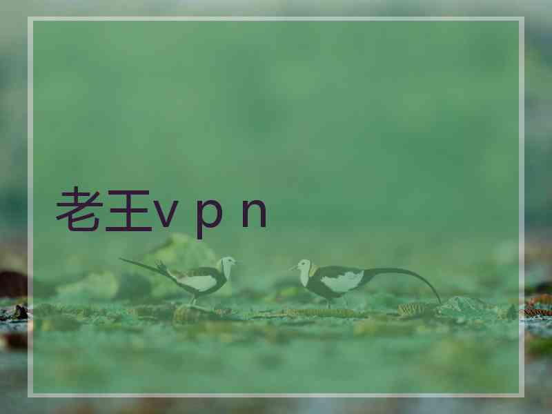 老王v p n