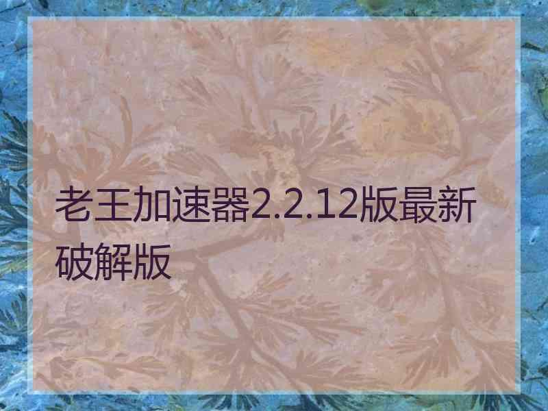 老王加速器2.2.12版最新破解版