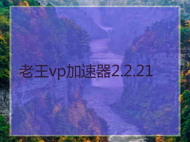 老王vp加速器2.2.21