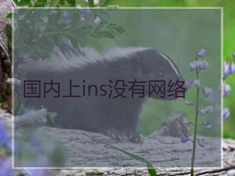 国内上ins没有网络