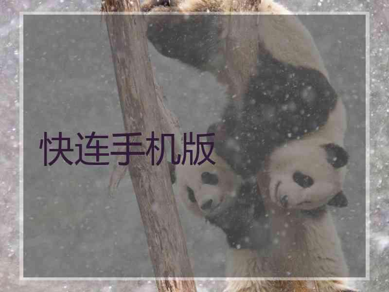 快连手机版