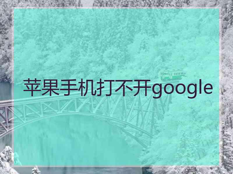 苹果手机打不开google