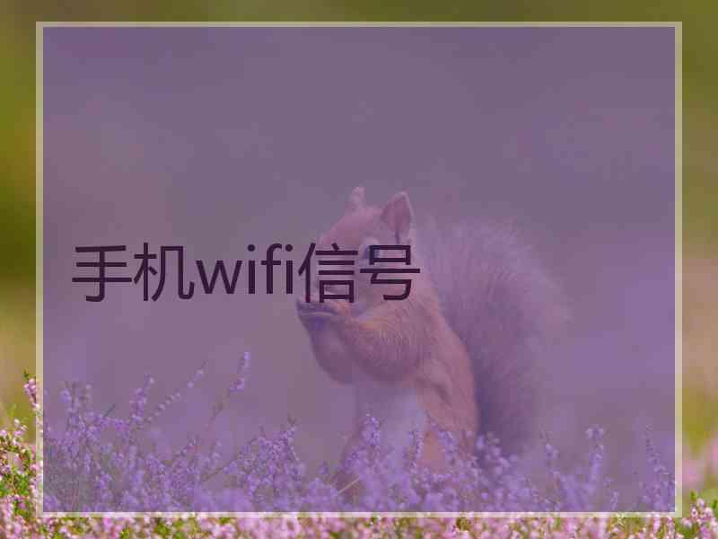 手机wifi信号
