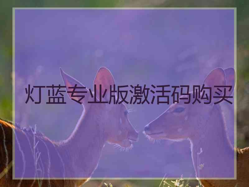 灯蓝专业版激活码购买
