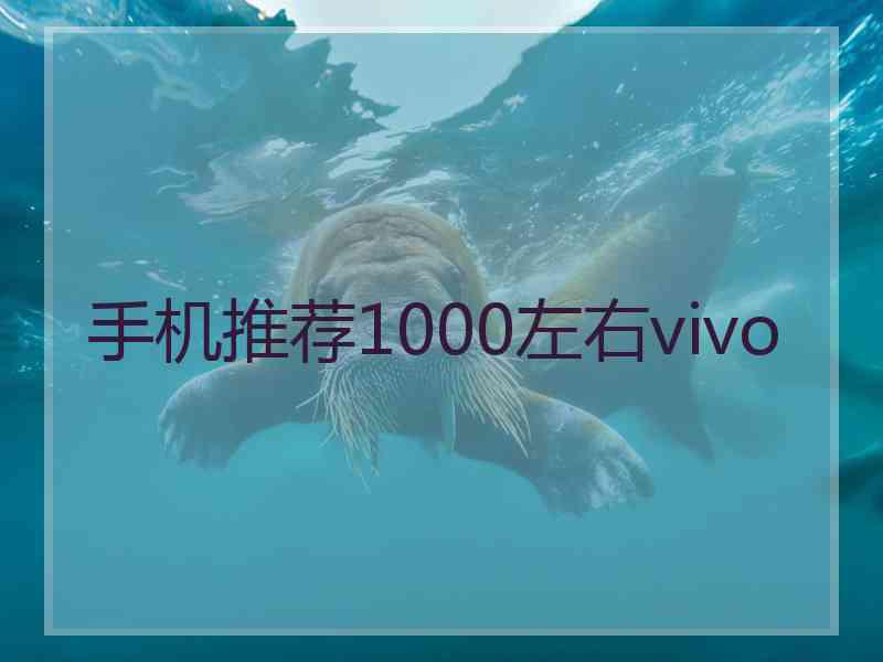手机推荐1000左右vivo