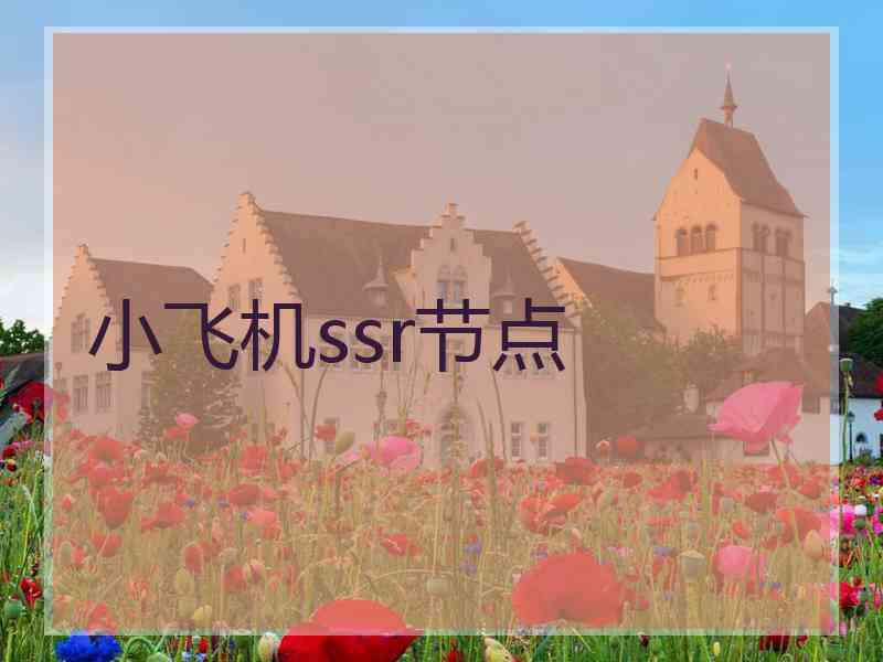 小飞机ssr节点