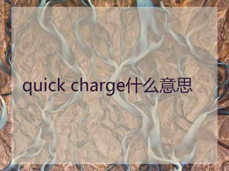 quick charge什么意思