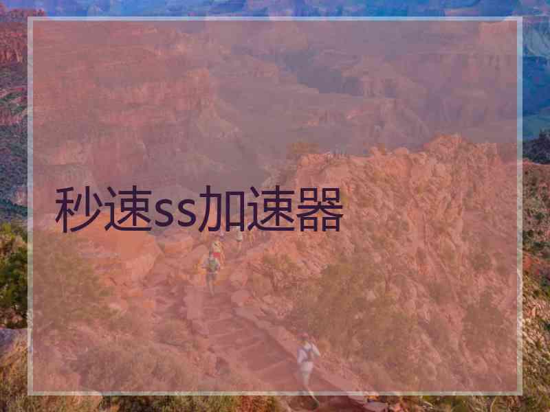 秒速ss加速器