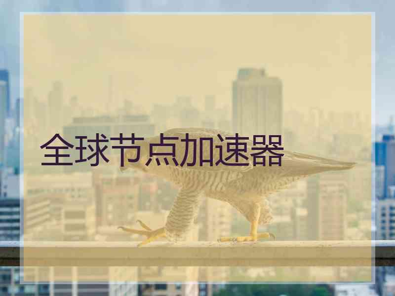 全球节点加速器