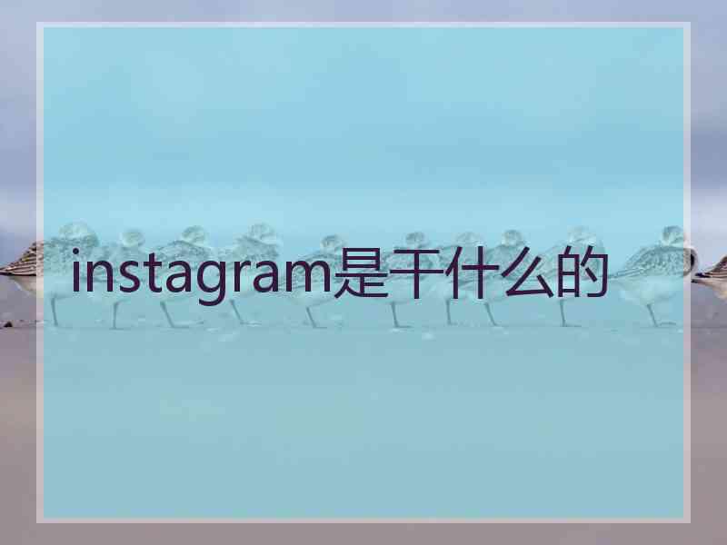 instagram是干什么的
